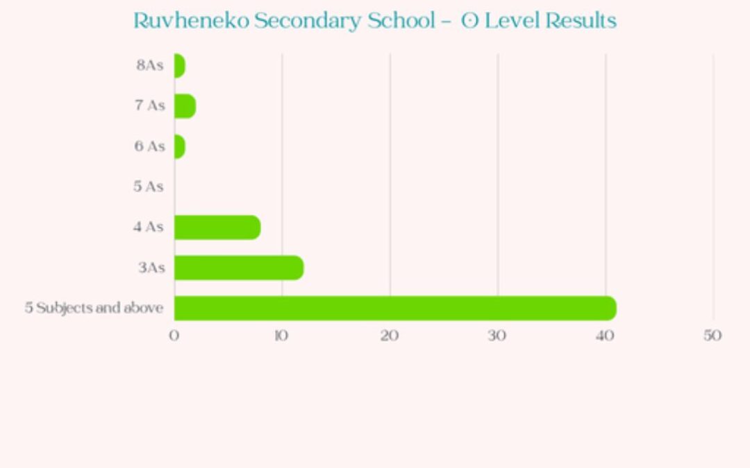Ruwa schools celebrated for strong academic perfomance